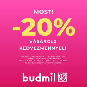 Malom Központ, Kecskemét